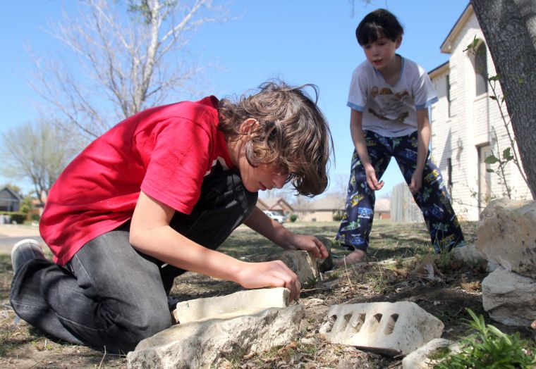 Wild Art - Finding Insects
